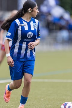 Bild 335 - wBJ Hamburger SV - FC Suederelbe : Ergebnis: 9:0